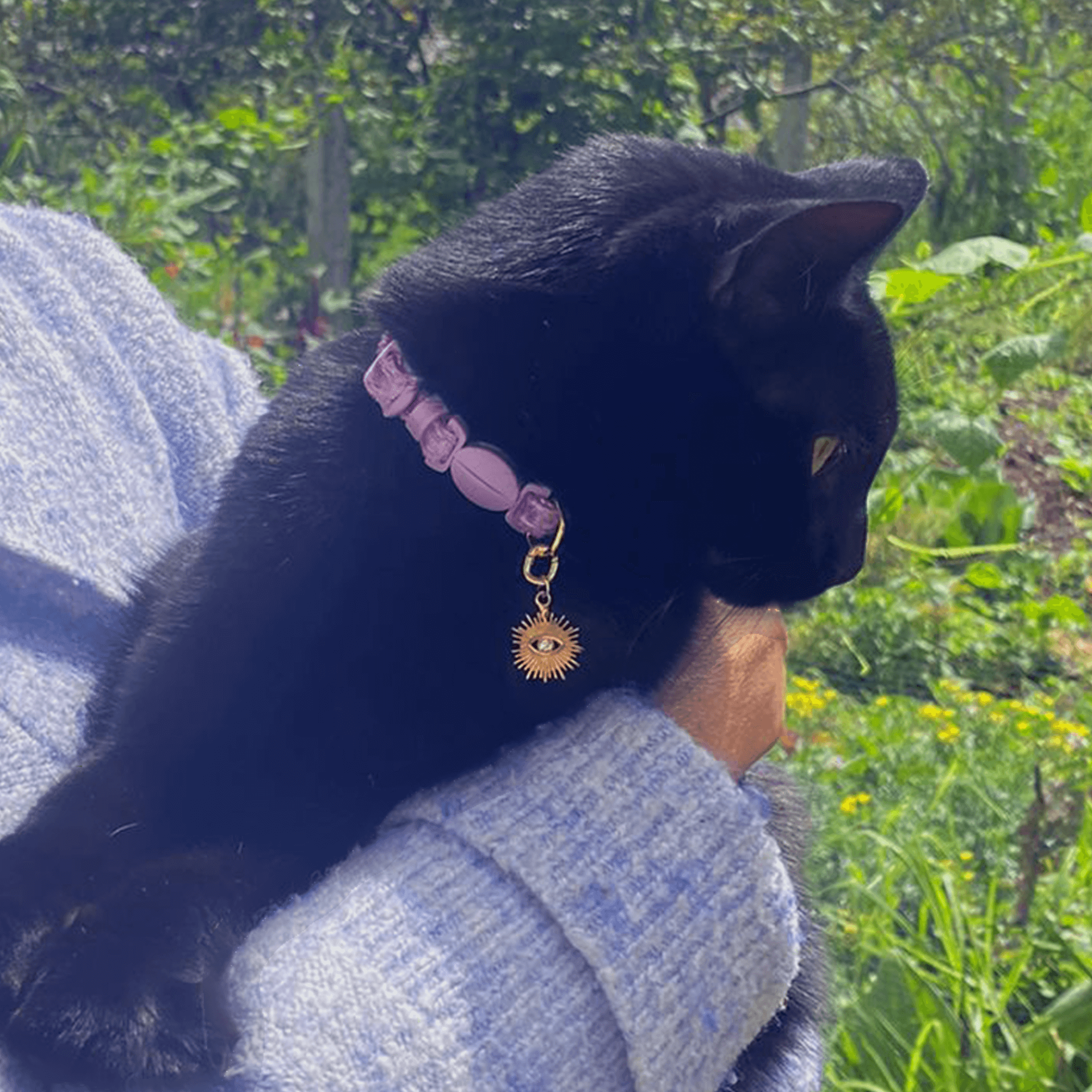 Celestial Cat Collars